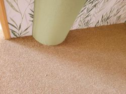 PHOTO-2022-08-24-13-48-56 5.jpg